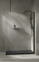 Deante Ścianka prysznicowa walk-in 120 cm
