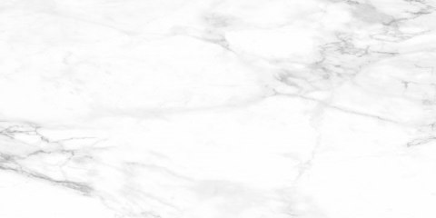 EMIGRES REAL 60X120 LAPPATO G1 EG EMIGRES REAL 60X120 LAPPATO G1 EG