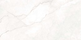 S GEOTILES ALABASTRINO BLANCO REKT. 60X120 G.1