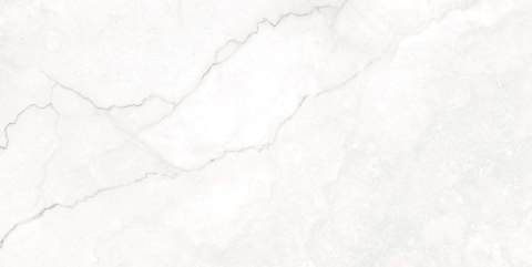 S GEOTILES ALABASTRINO BLANCO REKT. 60X120 G.1