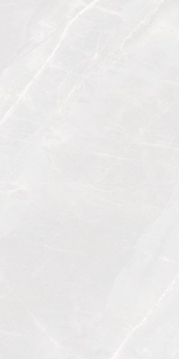 S IPC ROMA ARMANI BIANCO MATT CARVING 60X120 G.1