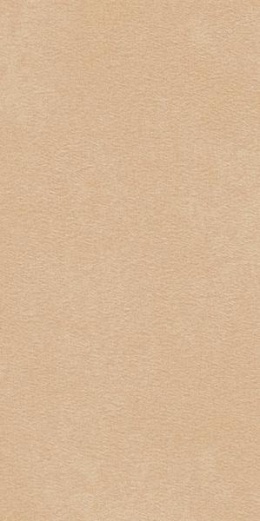 ARCHICROSS BASE BEIGE GRES REKT. STRUKTURA B MAT 29,8X59,8 G1