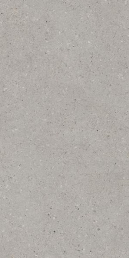 ARCHITEQ GRAIN LIGHT GREY GRES REKT. MAT 59,8X119,8 G1