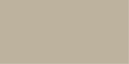 Canzoni Mocca GL.248B.WL 60x30 - Ścienna - Połysk