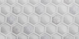 Harmigon Favo DGL.236C 60x30 - Ścienna - Połysk