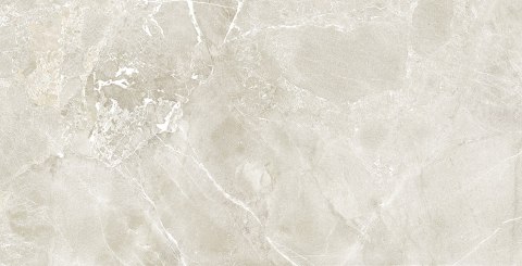 ROCERSA HIGHLANDS NATURE 60X120 RC