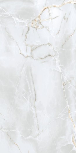 S GOLDEN TILE DELICATE LIGHT GREY MATT 60X120 G.1