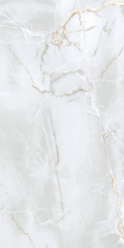 S GOLDEN TILE DELICATE LIGHT GREY MATT 60X120 G.1