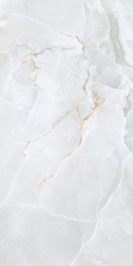 S GOLDEN TILE DELICATE LIGHT GREY MATT 60X120 G.1