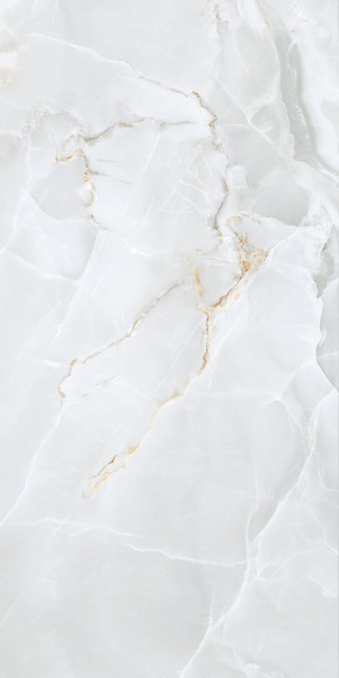 S GOLDEN TILE DELICATE LIGHT GREY MATT 60X120 G.1