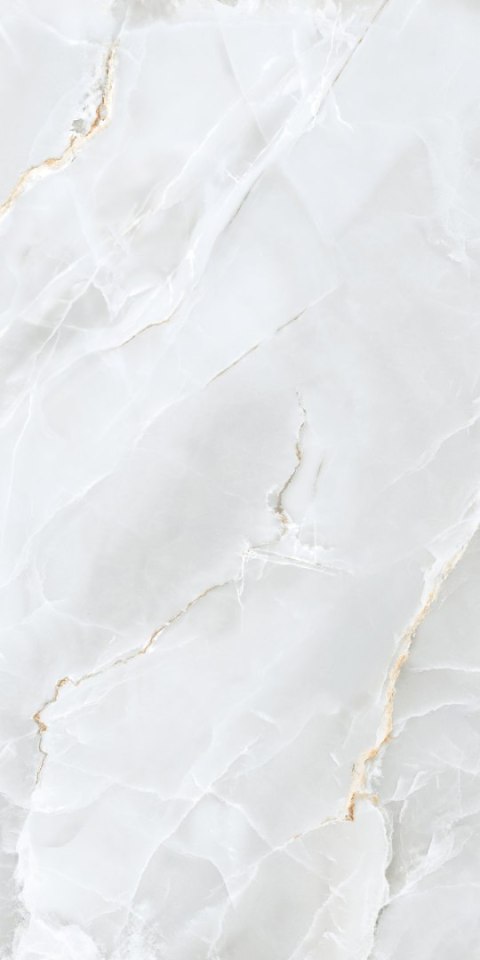 S GOLDEN TILE DELICATE LIGHT GREY MATT 60X120 G.1