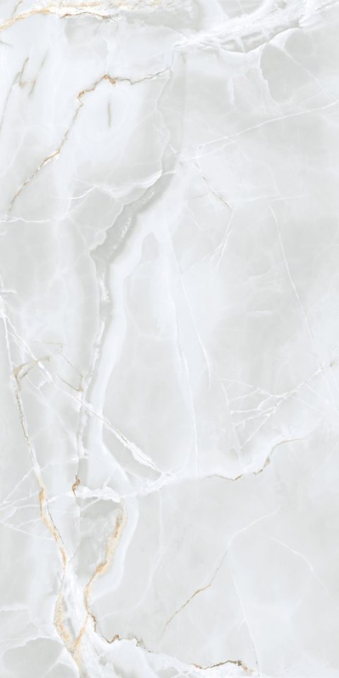 S GOLDEN TILE DELICATE LIGHT GREY MATT 60X120 G.1