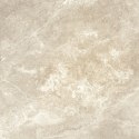 S GOLDEN TILE SPACE STONE BEIGE 60X60 G.1