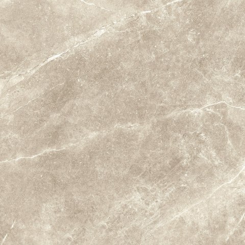 S GOLDEN TILE SPACE STONE BEIGE 60X60 G.1