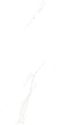 S IPC ALAVES WHITE MATT CARVING 60X120 G.1