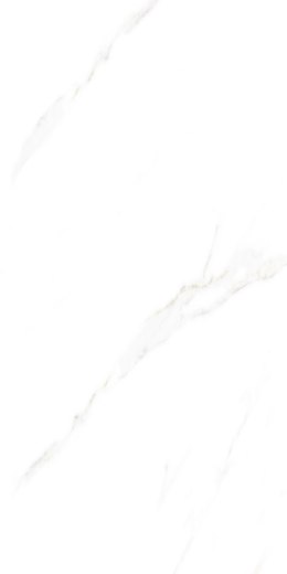 S IPC ALAVES WHITE MATT CARVING 60X120 G.1