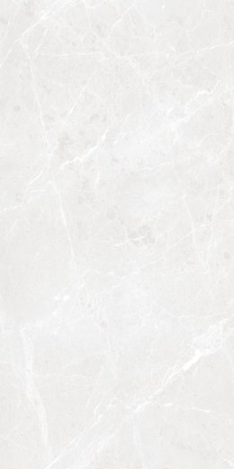 S IPC BARI GREY MATT CARVING 60X120 G.1