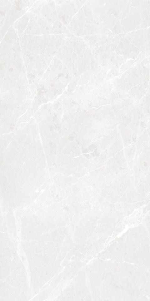 S IPC BARI GREY MATT CARVING 60X120 G.1