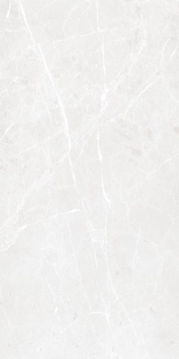 S IPC BARI GREY MATT CARVING 60X120 G.1