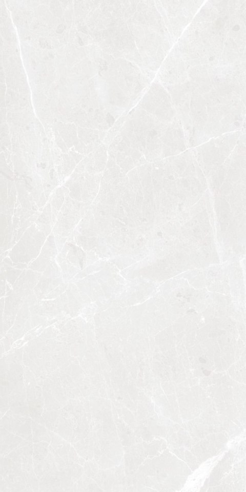 S IPC BARI GREY MATT CARVING 60X120 G.1