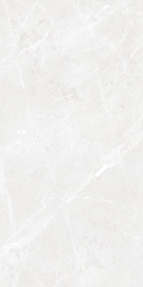 S IPC BARI GREY MATT CARVING 60X120 G.1