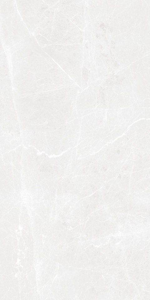 S IPC BARI GREY MATT CARVING 60X120 G.1