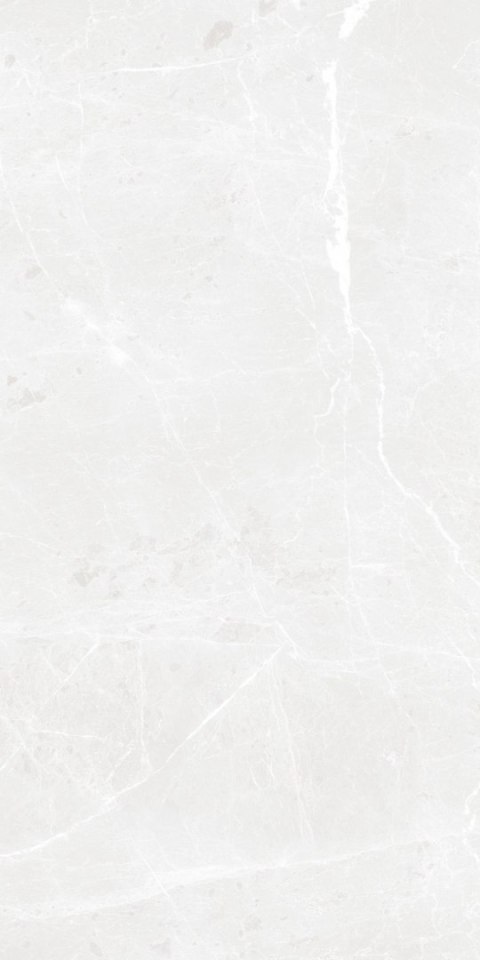 S IPC BARI GREY MATT CARVING 60X120 G.1