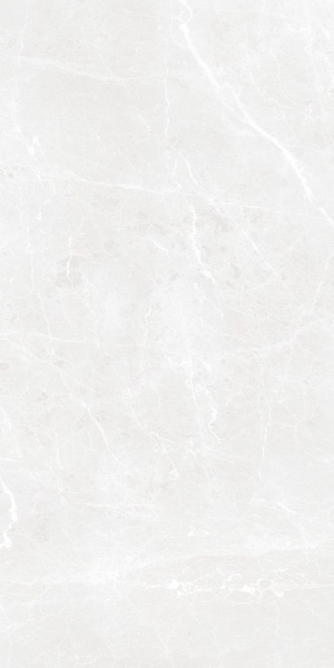 S IPC BARI GREY MATT CARVING 60X120 G.1