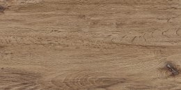 SG SIENA MARRONE 30X60 G.1