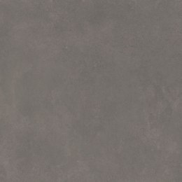 Tanum Plomo Mat H.TANUM.PLOMO.MAT 60x60 - Ścienno - podłogowa - Mat