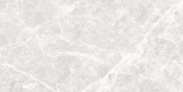 Wello Grey Light Połysk GL.321C.WL.PS 60x30 - Ścienna - Połysk