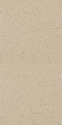 BAZO BEIGE GRES SÓL-PIEPRZ REKT. 29,8X59,8 G1