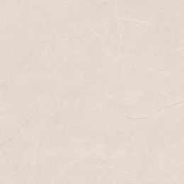 L AEMILIA PEARL MATT CARVING 120X120 G.1 - SPRAWDŹ FAKTYCZNĄ CENĘ I DOSTĘPNOŚĆ.