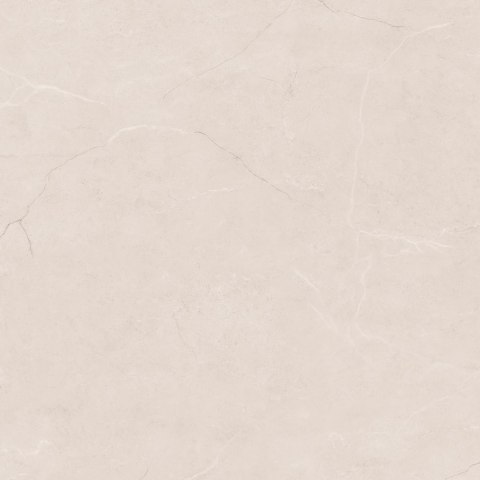 L AEMILIA PEARL MATT CARVING 120X120 G.1 - SPRAWDŹ FAKTYCZNĄ CENĘ I DOSTĘPNOŚĆ.