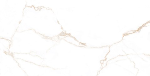 L OPUS BEIGE POLISHED 60X120 G.1