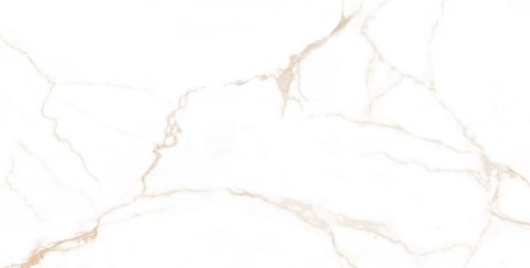 L OPUS BEIGE POLISHED 60X120 G.1