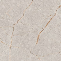 S GOLDEN TILE BARCELONA GRYS 60X60 G.1