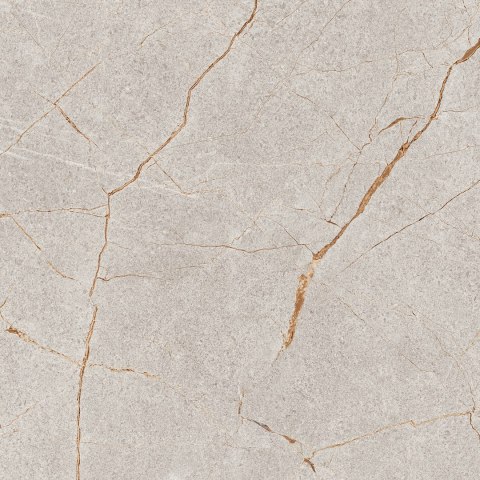 S GOLDEN TILE BARCELONA GRYS 60X60 G.1