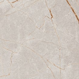 S GOLDEN TILE BARCELONA GRYS 60X60 G.1