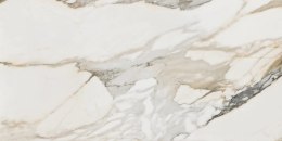 STARGRES Pp CALACATTA GOLD POLER / SGR10-1 60x120 G.1 SG wy