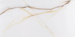 STARGRES Pp STK ONICE POLER / ICON / SGR13-1 60X120 G.1 SG