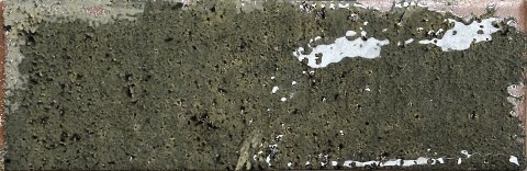 BESTILE MUSA OLIVA 6,5X20 G1 BT