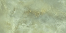 D BILOBA GREEN 30,8X60,8 G.1