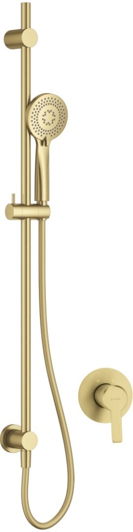 Deante Zestaw prysznicowy podtynkowy z drążkiem