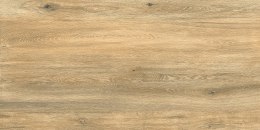 L DASCO HONEY MATT 60X120 G.1 - SPRAWDŹ FAKTYCZNĄ CENĘ I DOSTĘPNOŚĆ.