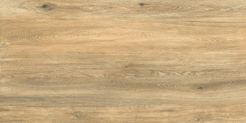 L DASCO HONEY MATT 60X120 G.1 - SPRAWDŹ FAKTYCZNĄ CENĘ I DOSTĘPNOŚĆ.