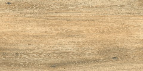 L DASCO HONEY MATT 60X120 G.1 - SPRAWDŹ FAKTYCZNĄ CENĘ I DOSTĘPNOŚĆ.