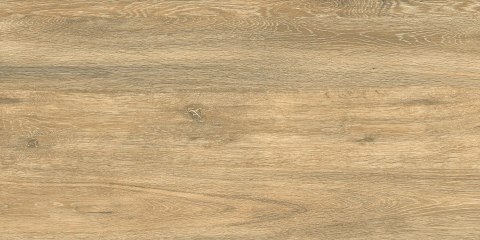 L DASCO HONEY MATT 60X120 G.1 - SPRAWDŹ FAKTYCZNĄ CENĘ I DOSTĘPNOŚĆ.