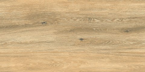 L DASCO HONEY MATT 60X120 G.1 - SPRAWDŹ FAKTYCZNĄ CENĘ I DOSTĘPNOŚĆ.