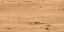 L RUSTA HONEY MATT 60X120 G.1